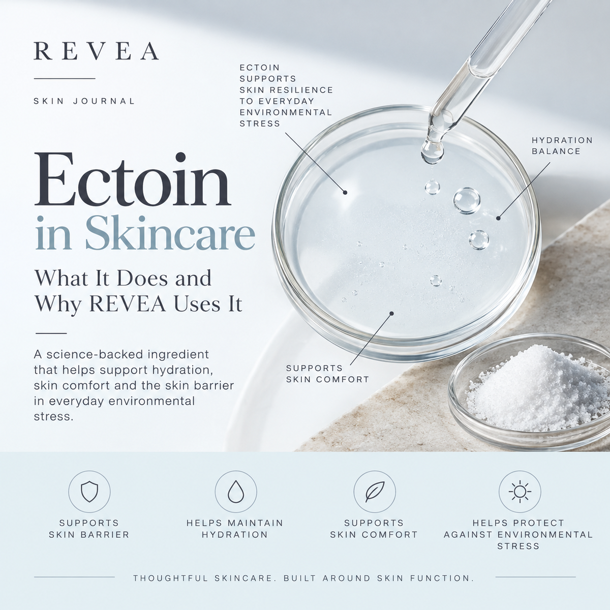 REVEA Ectoin in Skincare guide explaining ectoin benefits for hydration, skin barrier support, skin comfort and environmental stress protection.