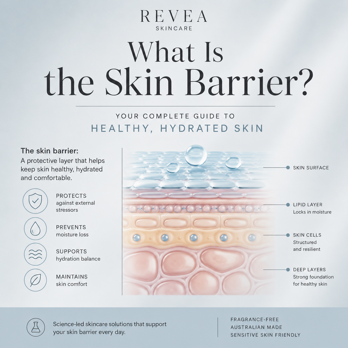 REVEA skin barrier infographic explaining hydration, moisture retention and skin barrier support for healthy-looking, hydrated skin.”