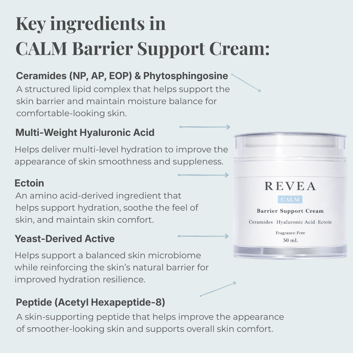 Infographic showing the key ingredients in REVEA CALM Barrier Support Cream, including Ceramides, Multi-Weight Hyaluronic Acid, Ectoin and Peptide to support hydration and the skin barrier.