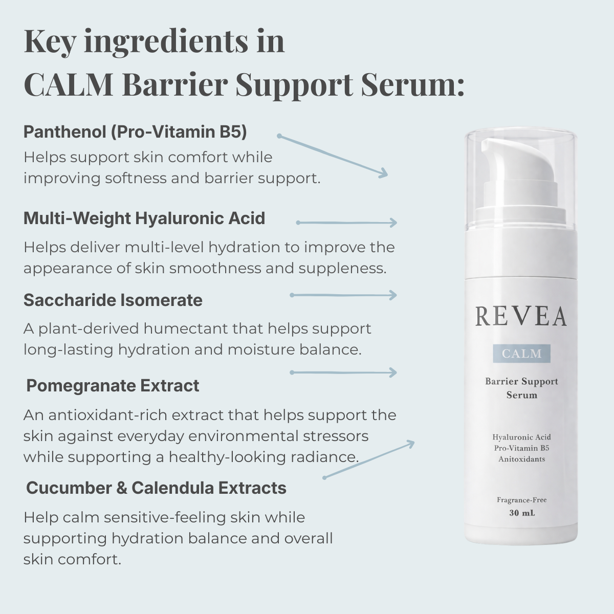 Infographic showing the key ingredients in REVEA CALM Barrier Support Serum, including Multi-Weight Hyaluronic Acid, Panthenol (Vitamin B5), Saccharide Isomerate and botanical extracts to support hydration and the skin barrier.